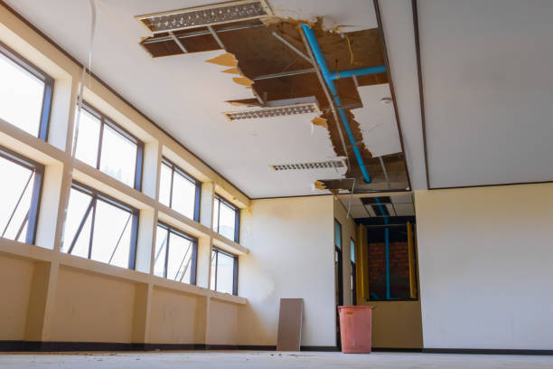Best Professional water damage repair  in Darien, WI