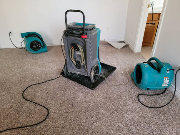 Best Basement water damage restoration  in Darien, WI