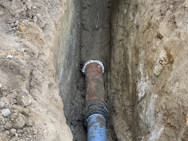 Best Sewage cleanup and water damage restoration  in Darien, WI