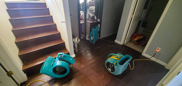 Best Sewage cleanup and water damage restoration  in Darien, WI