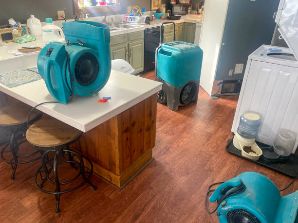 Best Water damage restoration company  in Darien, WI