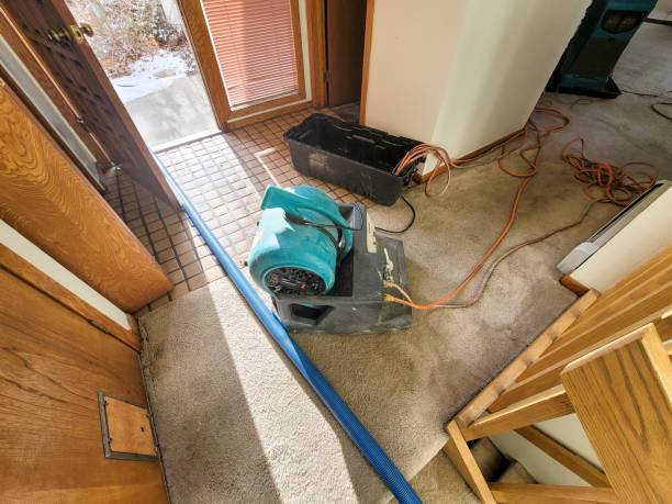 Best Local water damage restoration  in Darien, WI