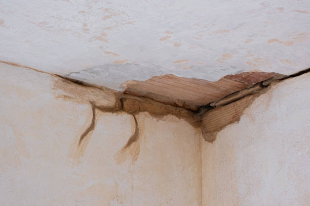 Best Fire Damage Restoration  in Darien, WI