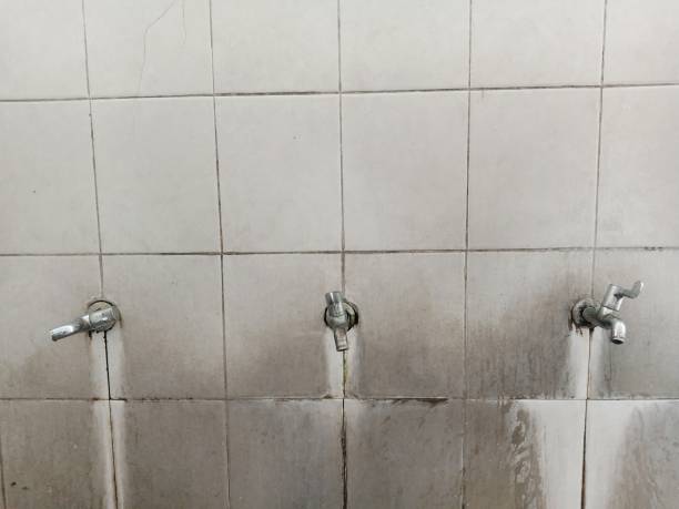 Best Emergency water damage restoration  in Darien, WI