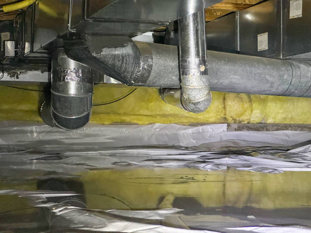Best Water damage cleanup near me  in Darien, WI