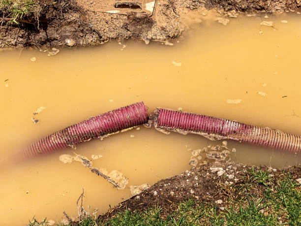 Best Commercial water damage restoration  in Darien, WI